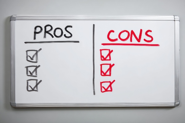 "The pros and cons of starting a franchise business in popular categories"